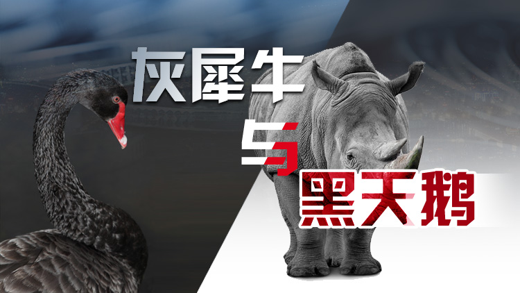 灰犀牛与黑天鹅